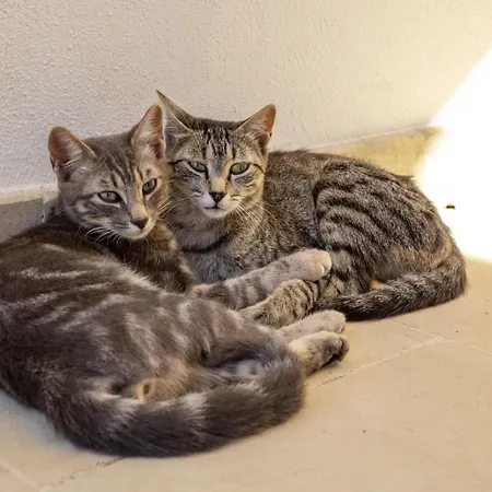 Puloni Frühstückspension Otranto